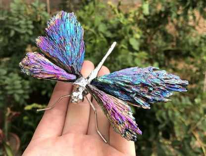 💥AURA TOURMALINE KYANITE DRAGONFLY💥