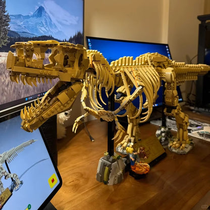 Dinosaur Fossils: Tyrannosaurus rex